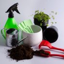 Home Accessories (1)